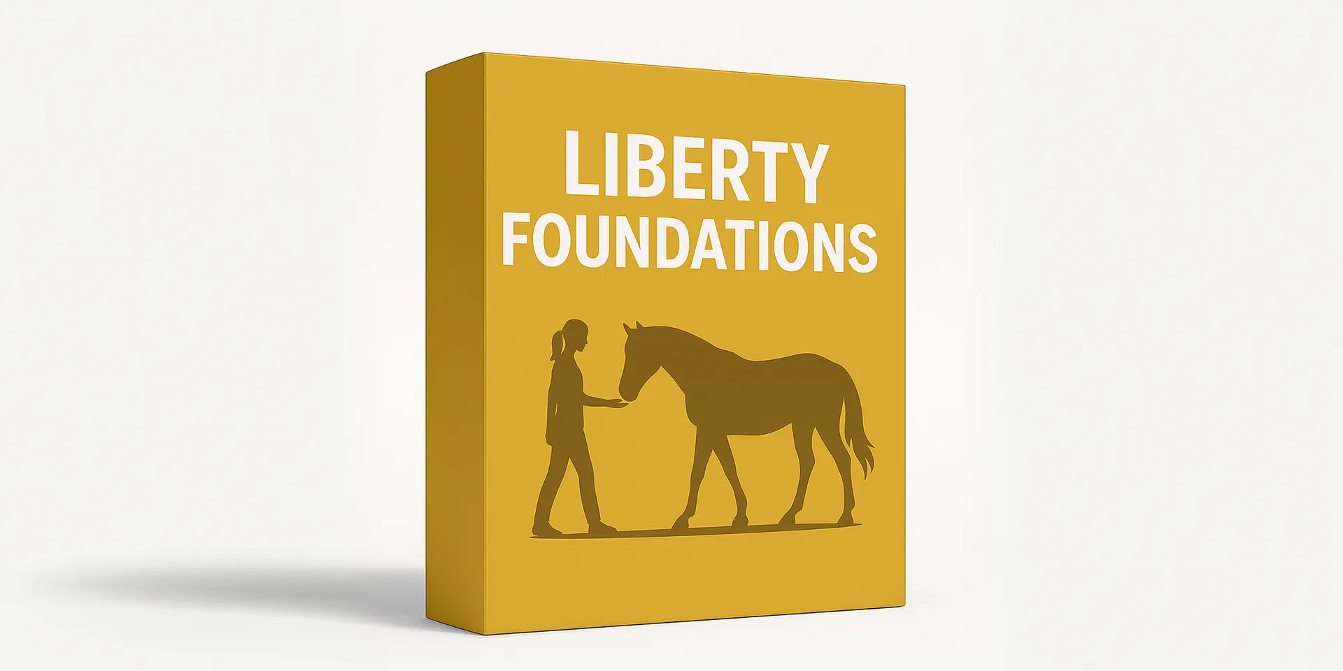 Liberty Foundations: Unlocking the Start box mockup